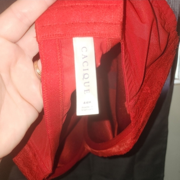 🍂🍁NWOT cacique 44H Valentines day heart bra - Picture 6 of 6